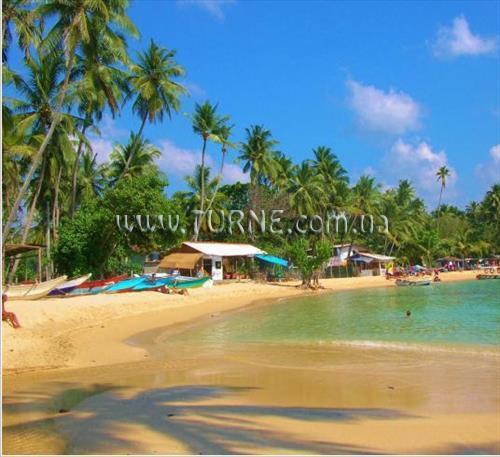 Comaran Beach 3* суреті