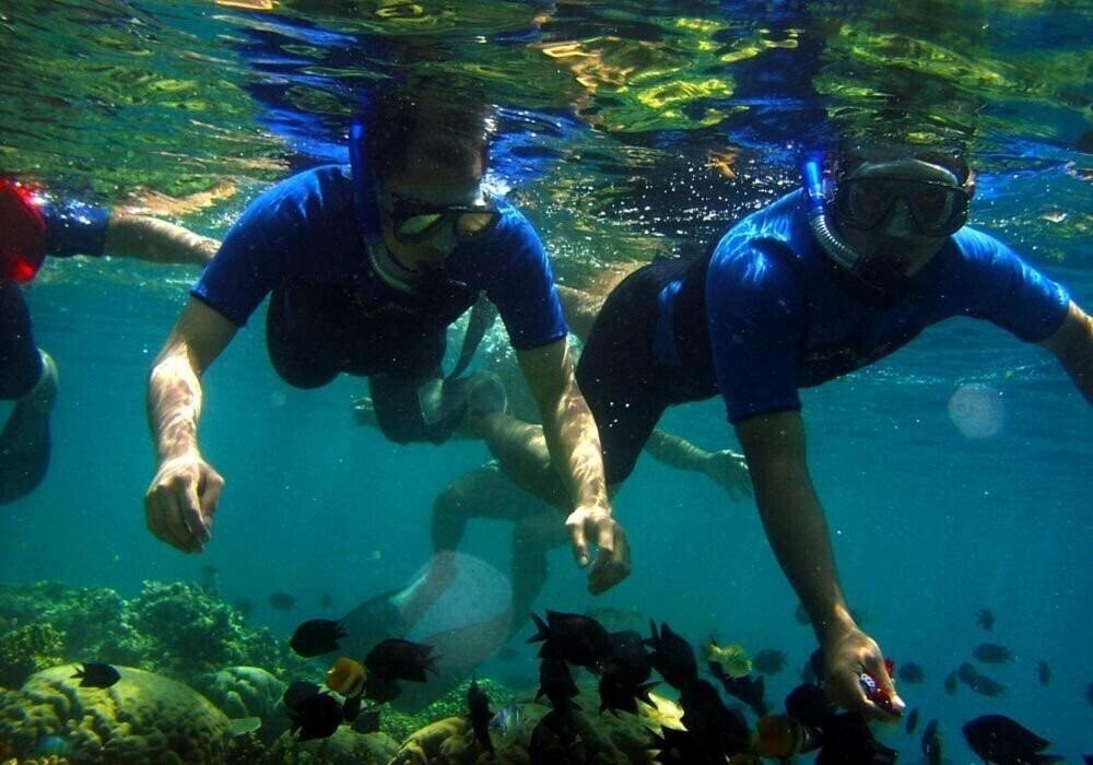 Картинка My Place Guest House (Budget) 2*