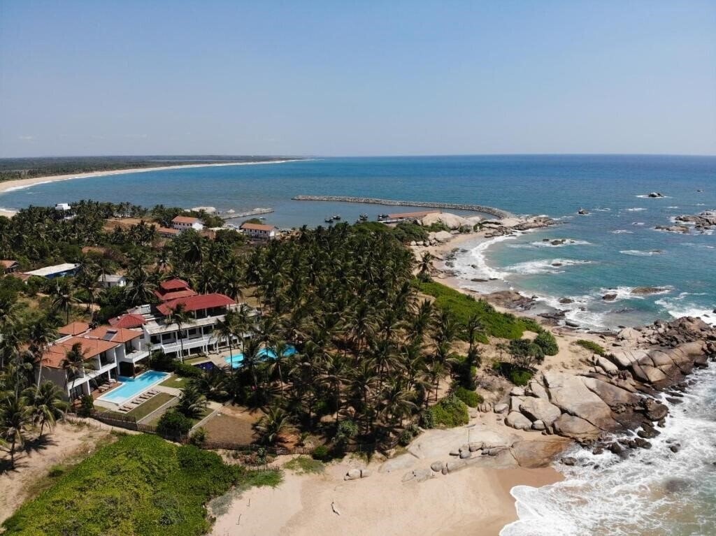 Turtle Bay 4* суреті