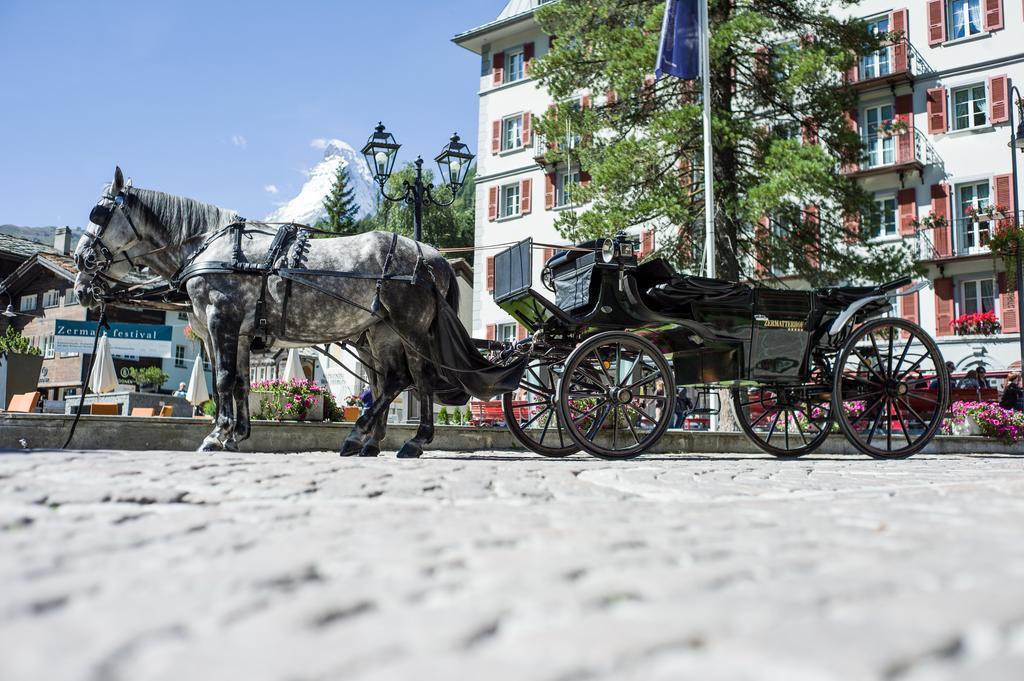 Grand Hotel Zermatterhof 5* суреті