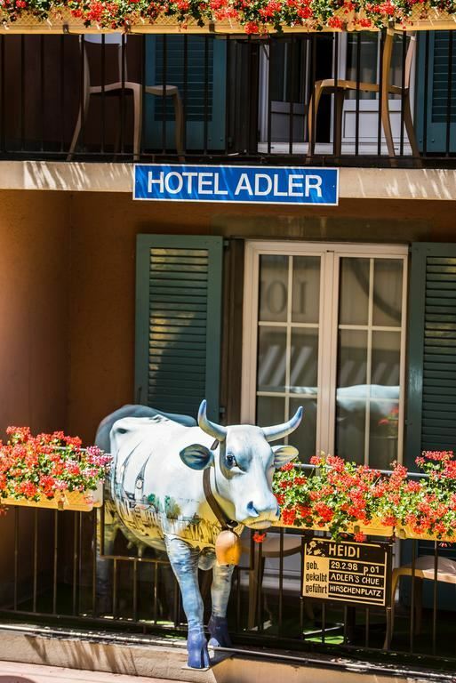 Adler 3* суреті