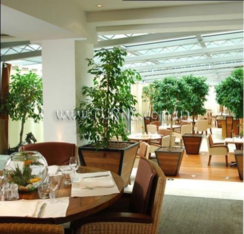 Epsom 4* суреті