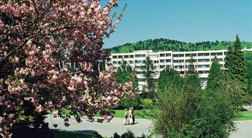 Изображение Ozon 3*