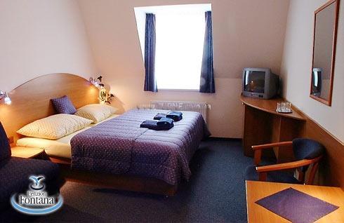 Картинка Pension Fontana 2*