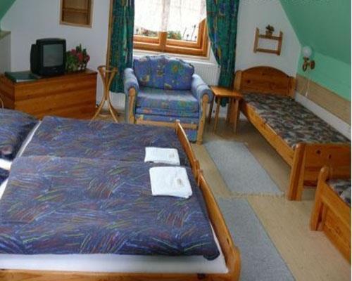 Penzion Aurel 3* суреті