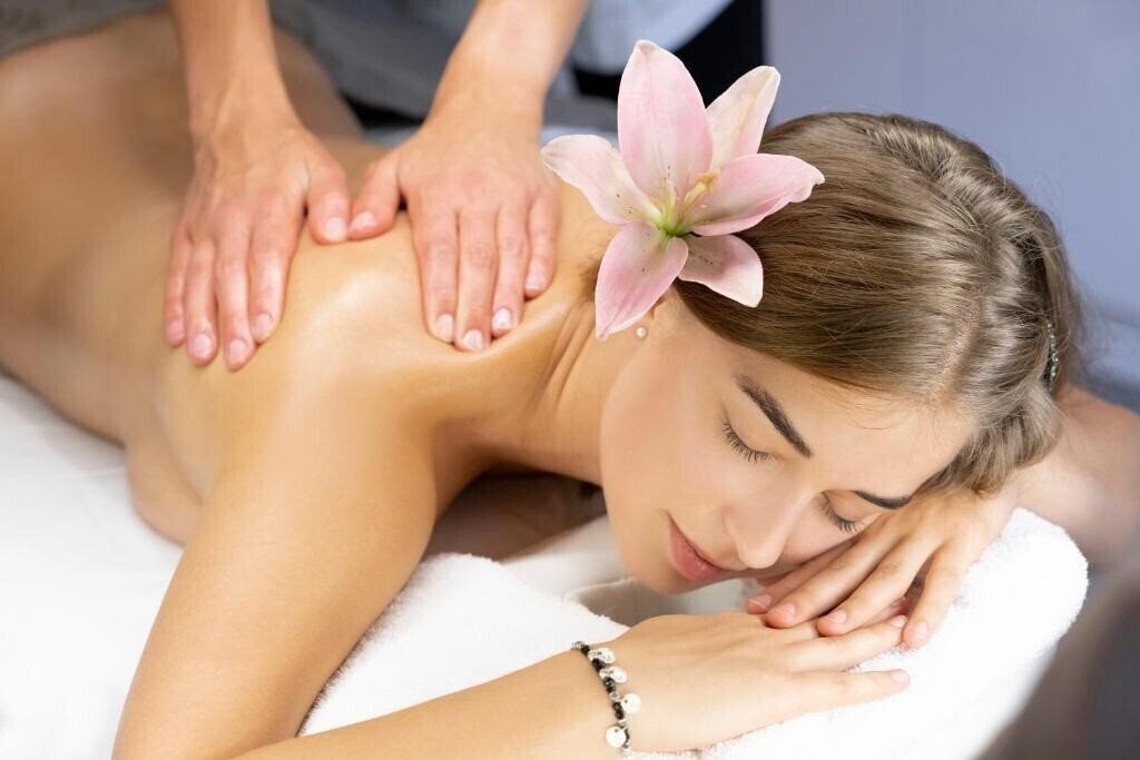 Изображение Wellness Hotel Borovica 4*