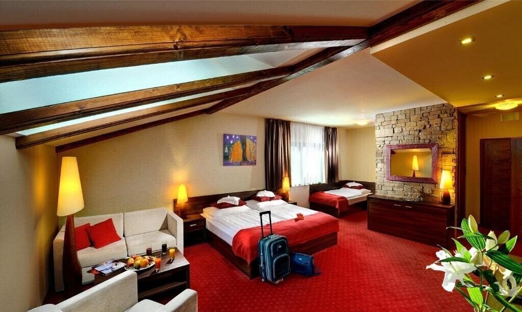 Wellness Hotel Chopok 4* суреті