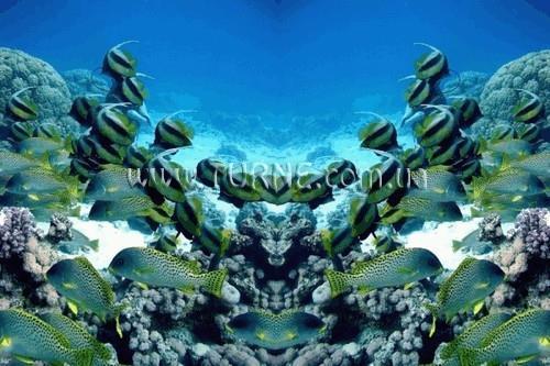 Park 2* суреті