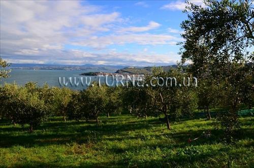 Фото Belvedere 3*