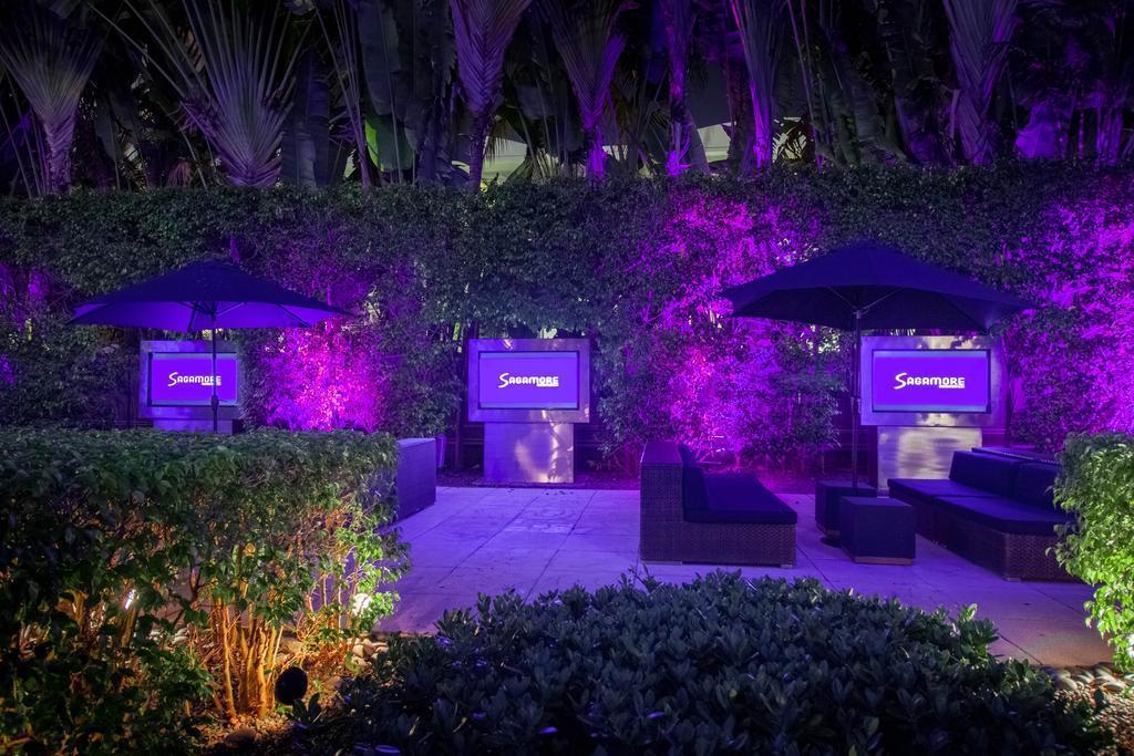 Sagamore 4* суреті