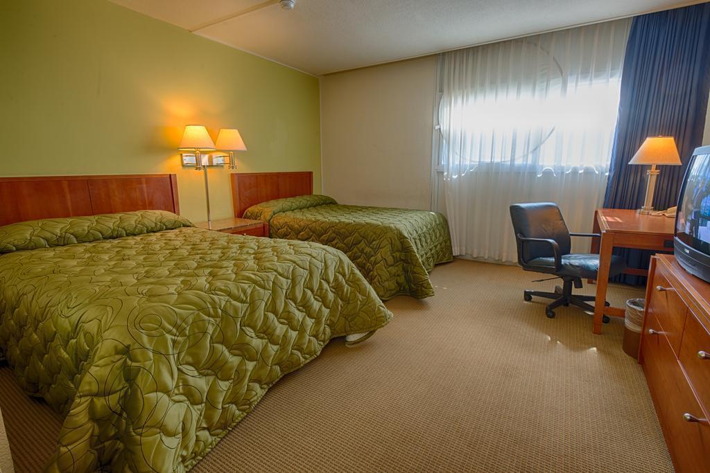 Oasis Inn 2* суреті