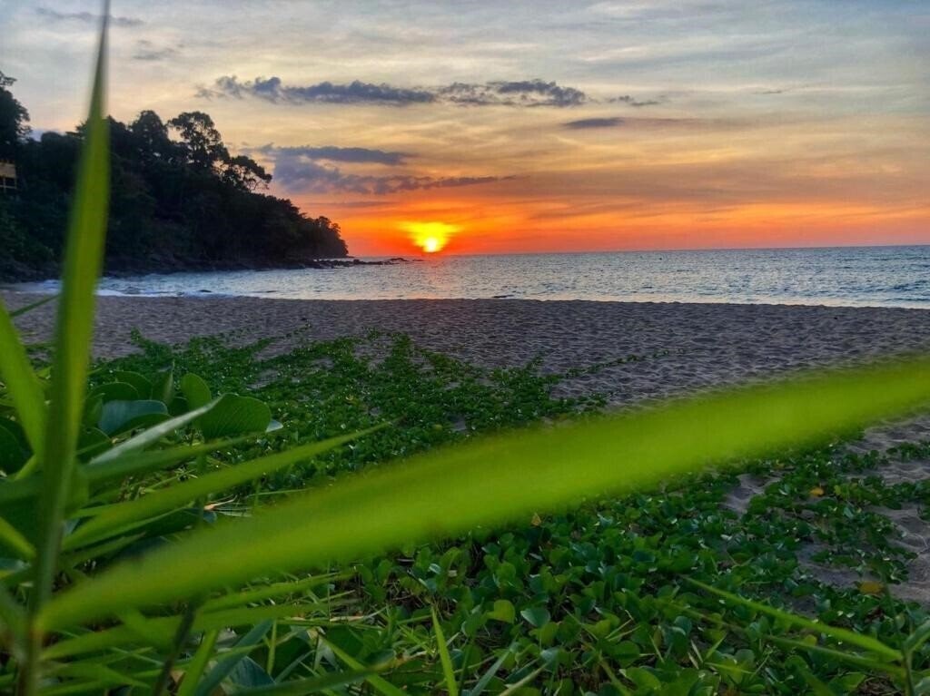 Khao Lak Palm Beach Resort 4* суреті