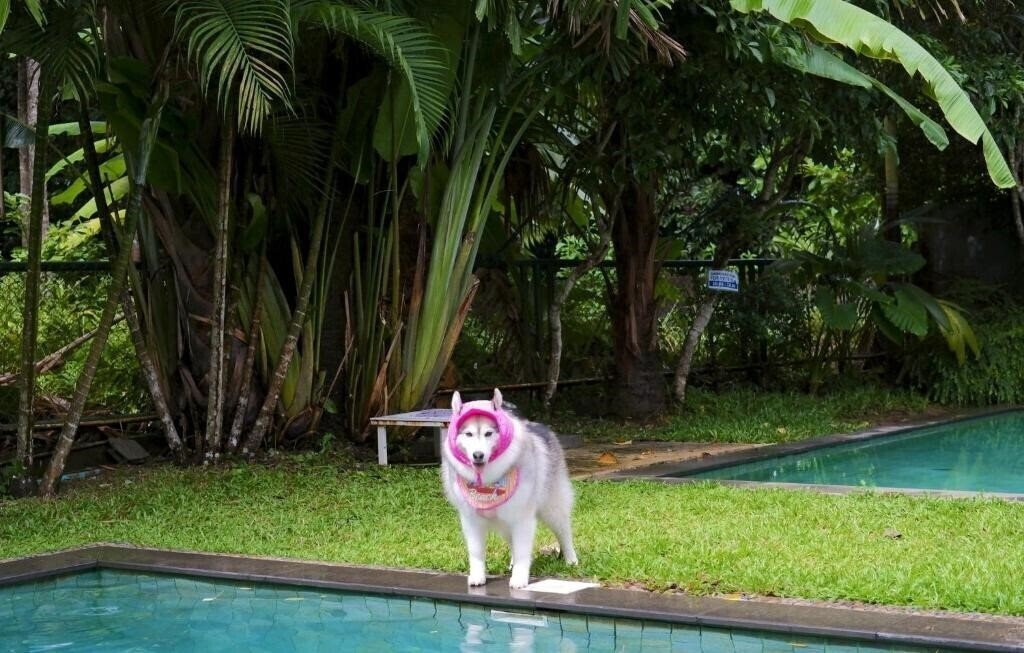 Изображение Kokotel Khao Lak Isara Casa 3*