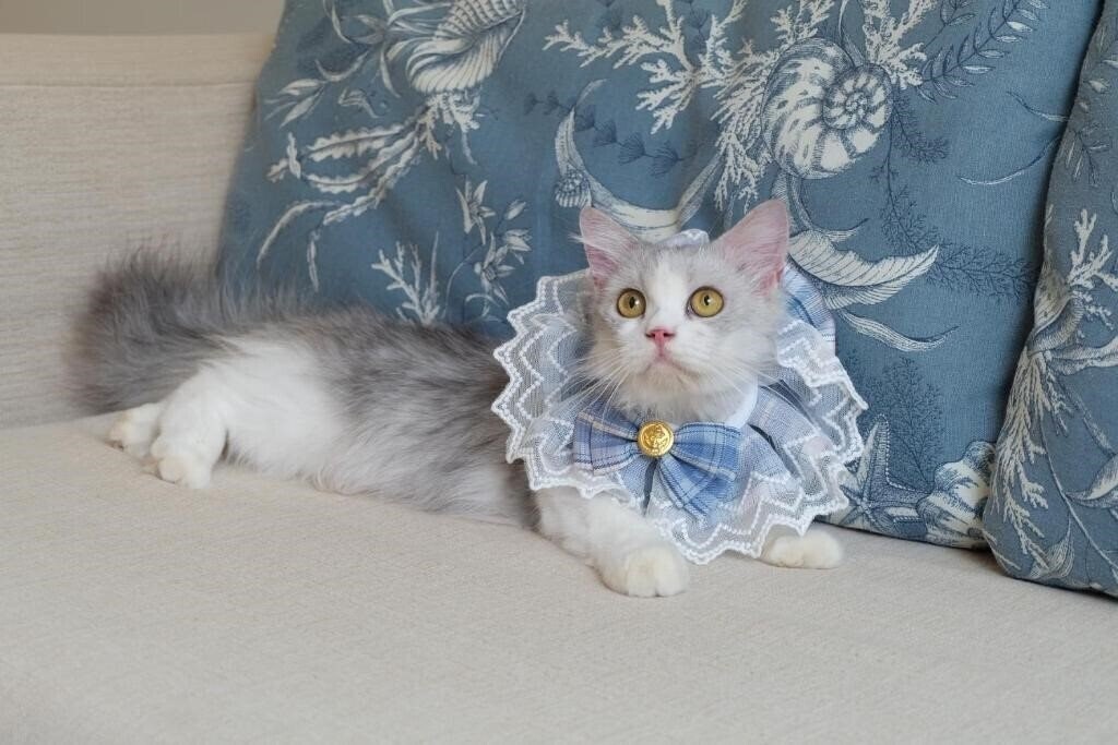 Фото Blu Marine Hua Hin Resort & Villas 3*