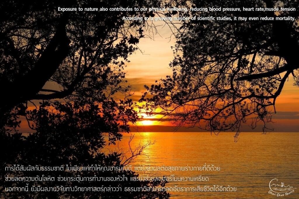 Chai Chet Resort 3* фотосуреті