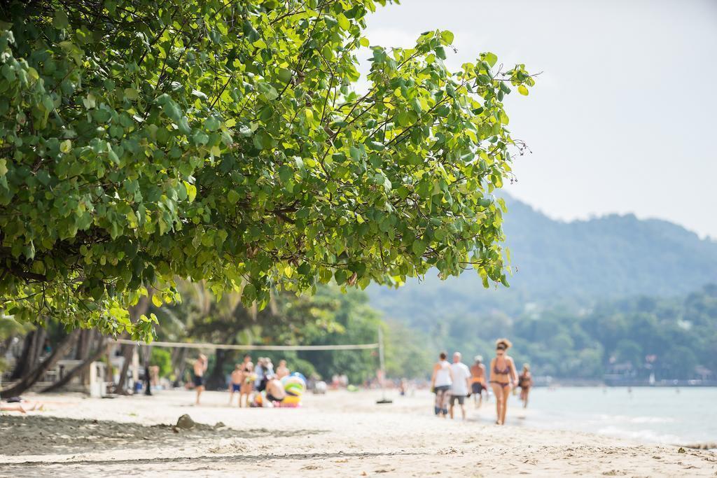 Kc Grande Resort 3* суреті