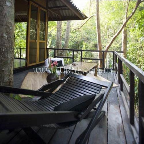 Sri Lanta 3* фотосуреті