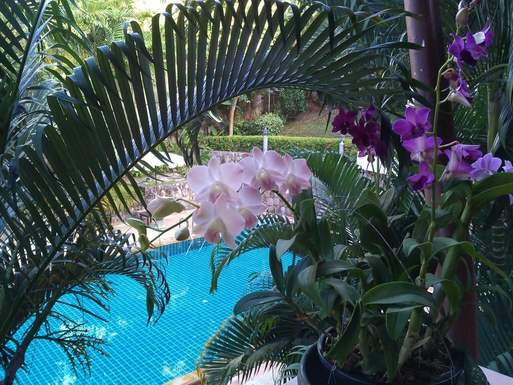 Изображение Inter House Kata 2*