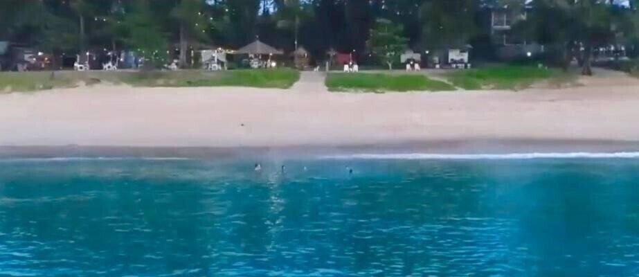 Micky Monkey Beach Hotel 3* суреті