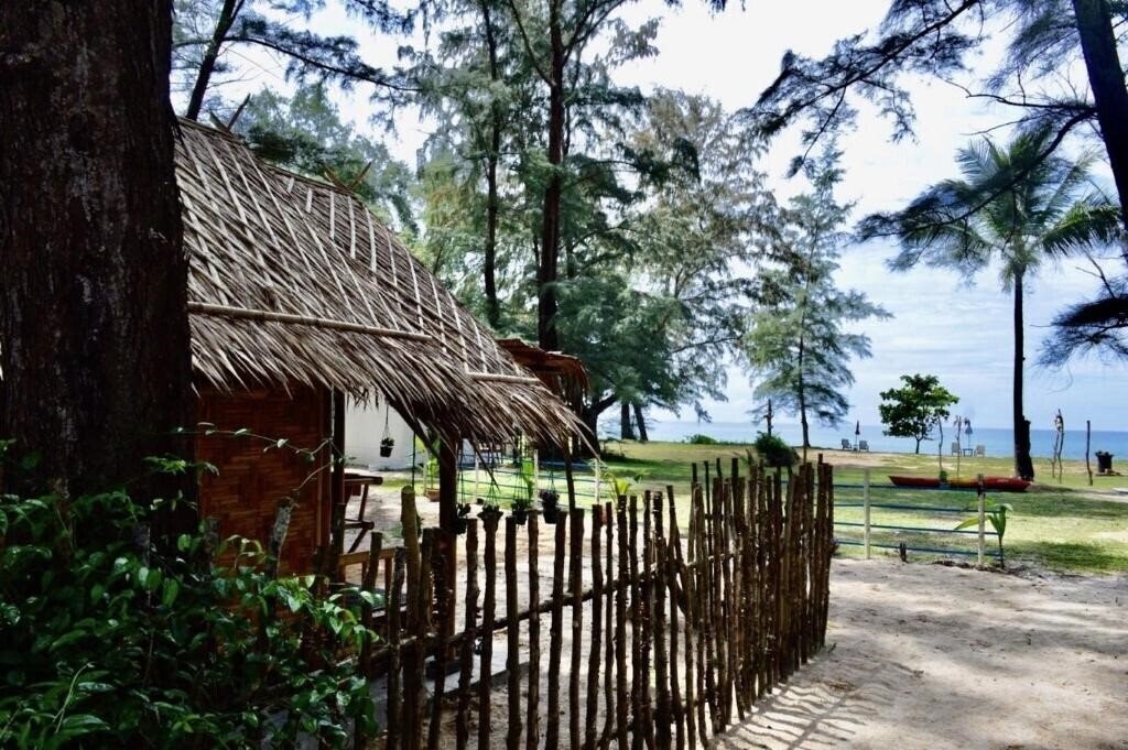 Micky Monkey Beach Hotel 3* суреті