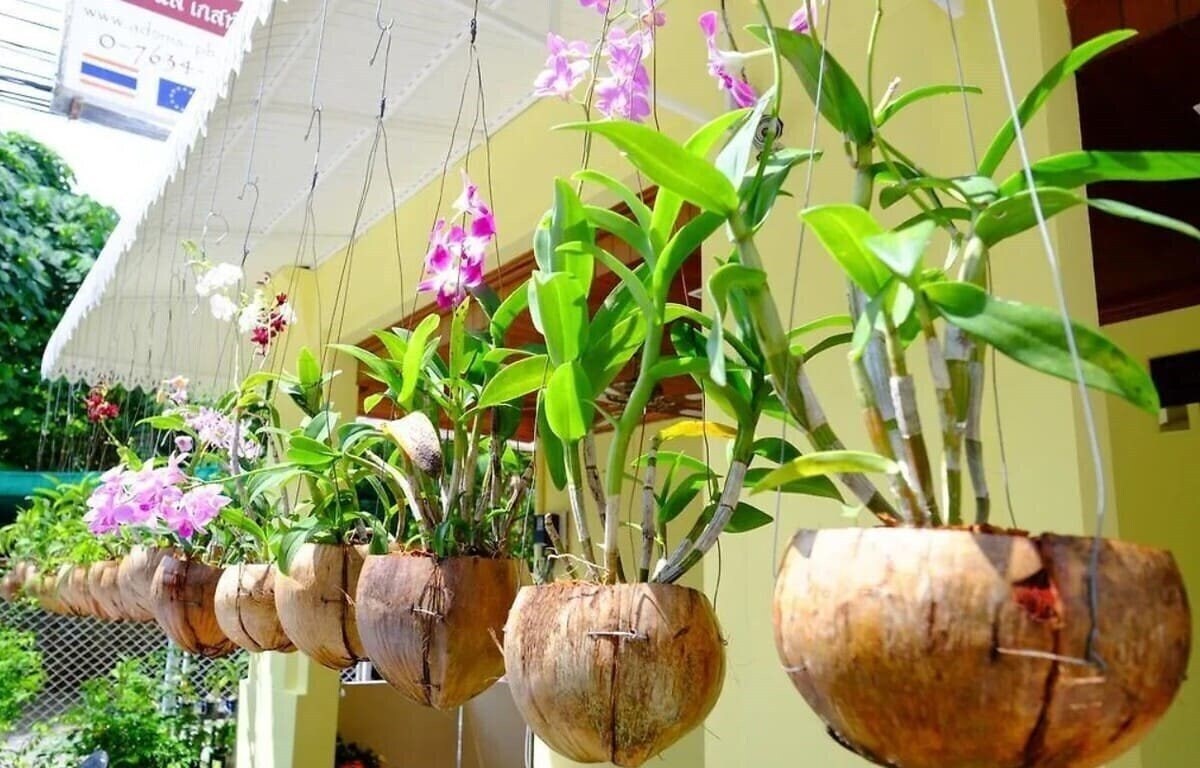 Фото Adonis Guest House 2*