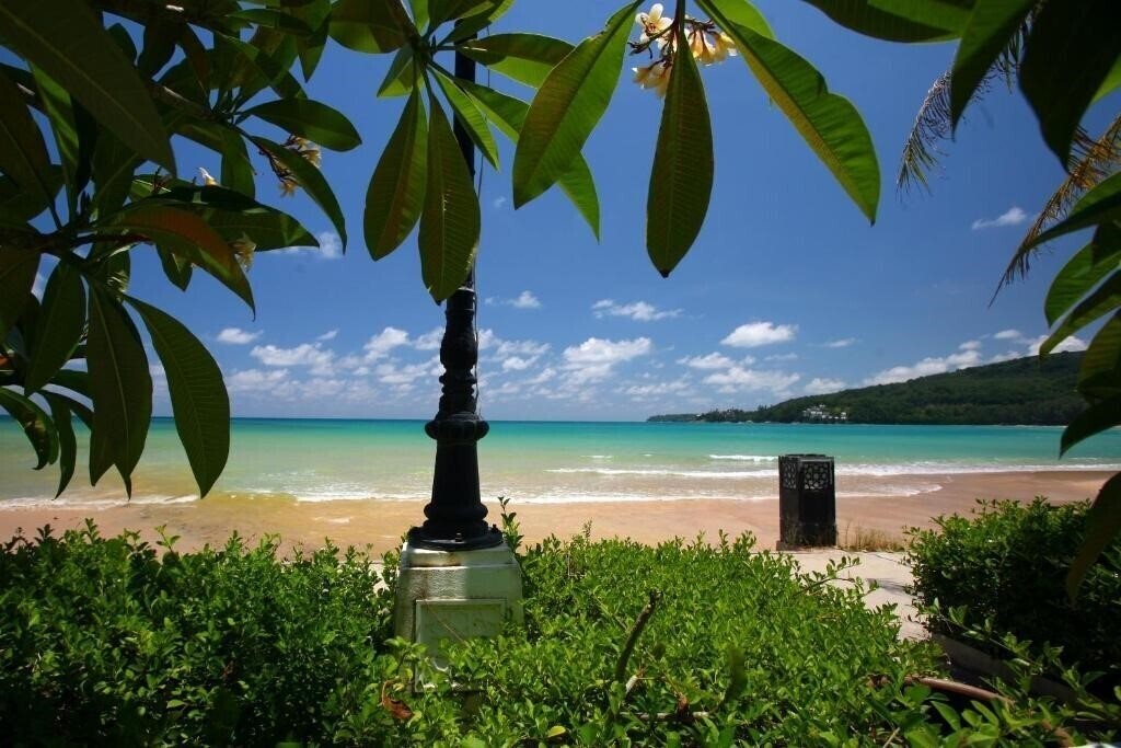 Картинка Kamala Dreams 3*