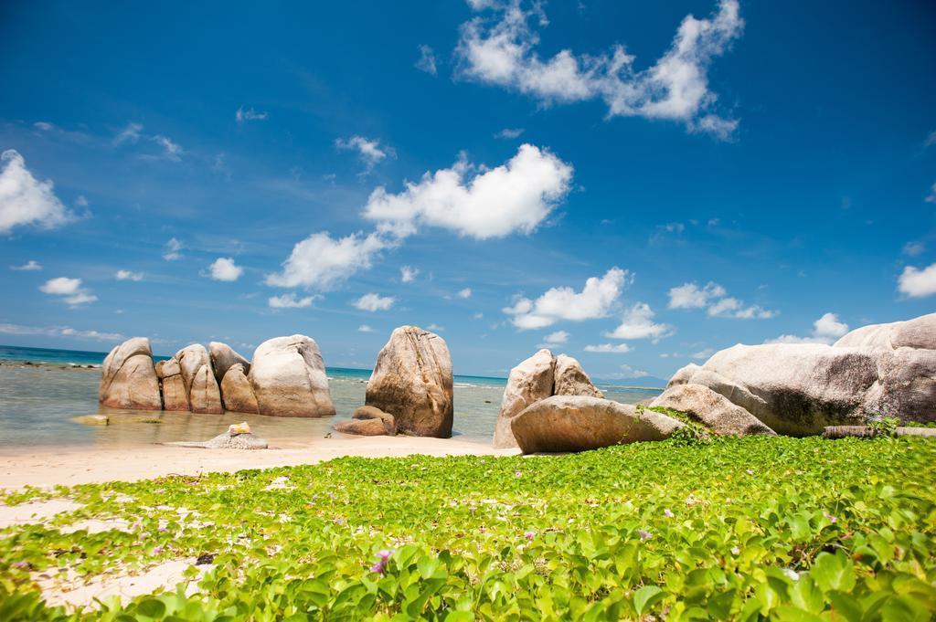 Lazy Days Samui Beach Resort 3* суреті