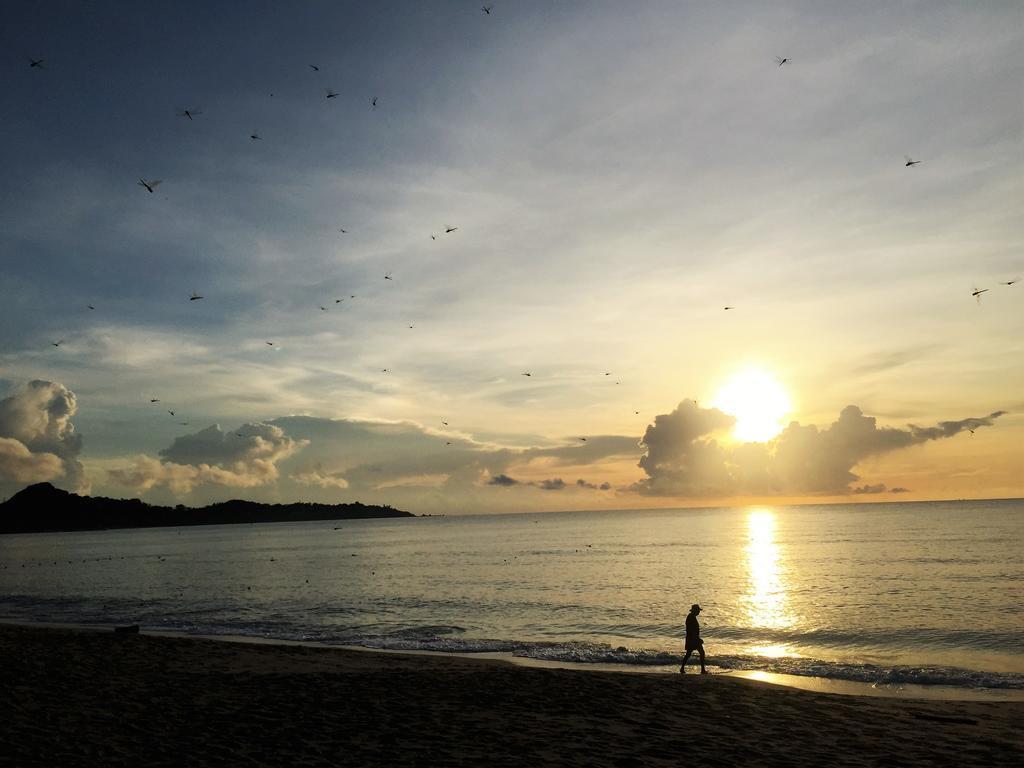 Изображение Lamai Coconut Beach Resort 3*