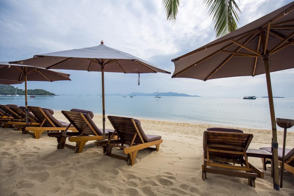 Bandara Resort & SPA 4* суреті