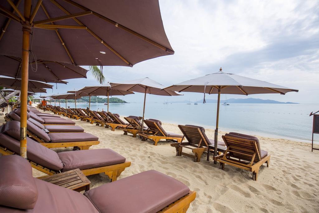 Bandara Resort & SPA 4* суреті