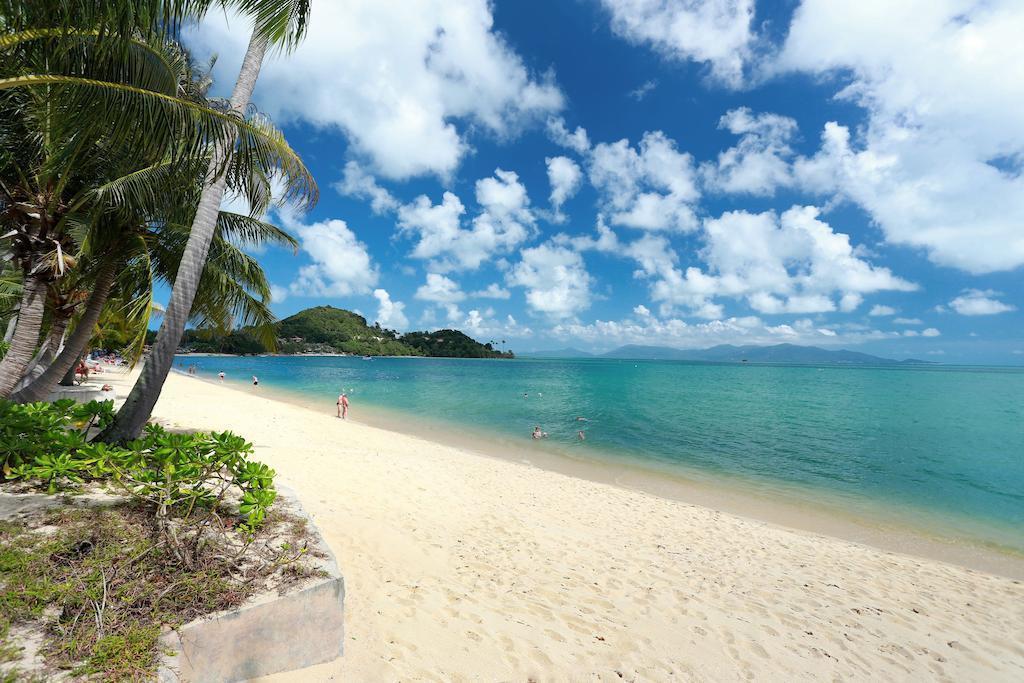Фотография Samui Palm Beach Resort 4*