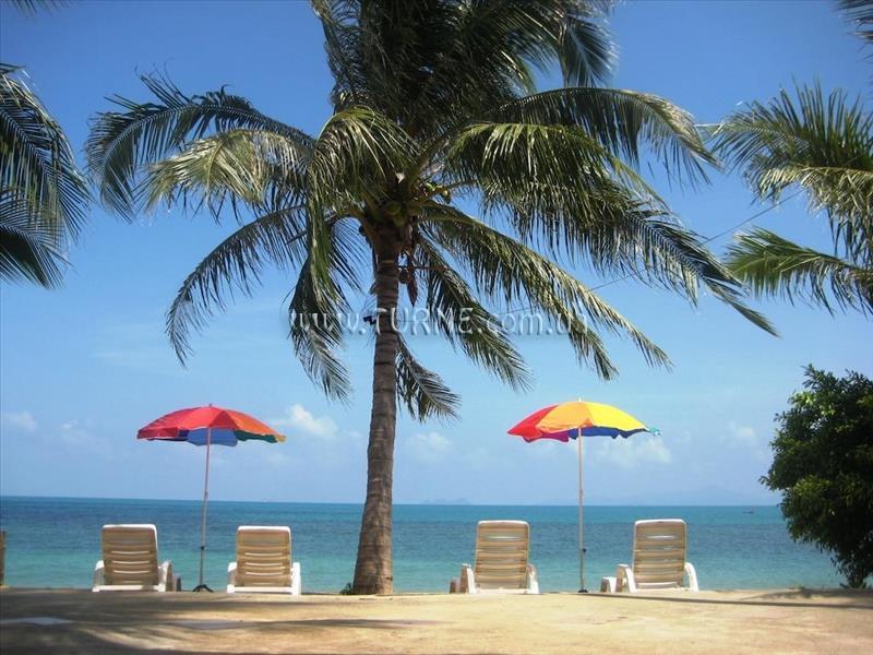 Изображение Natural Wing Health SPA & Resort 3*