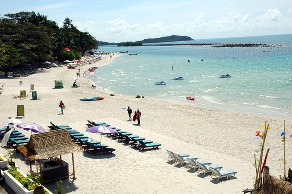 Al's Resort 3* суреті