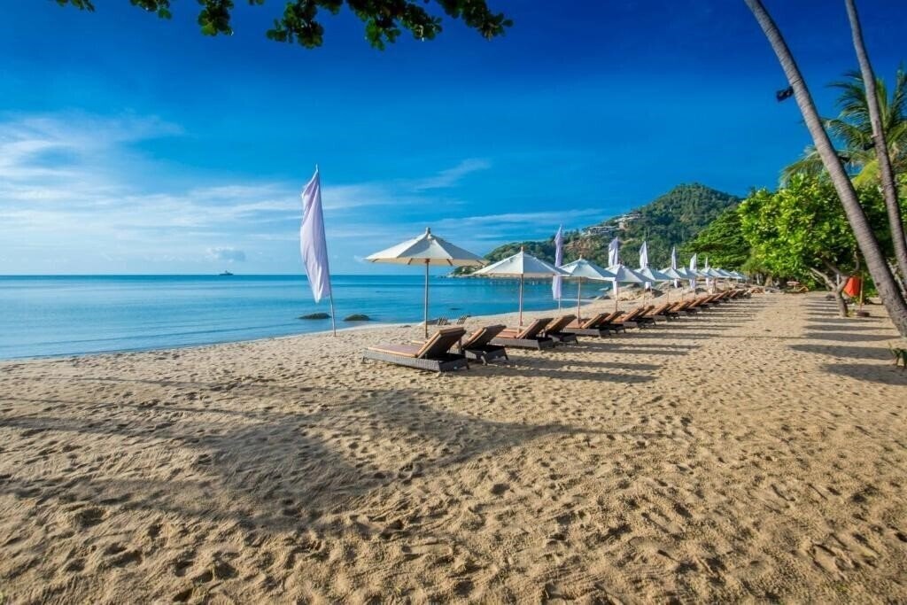 New Star Beach Resort 4* қонақ үйі