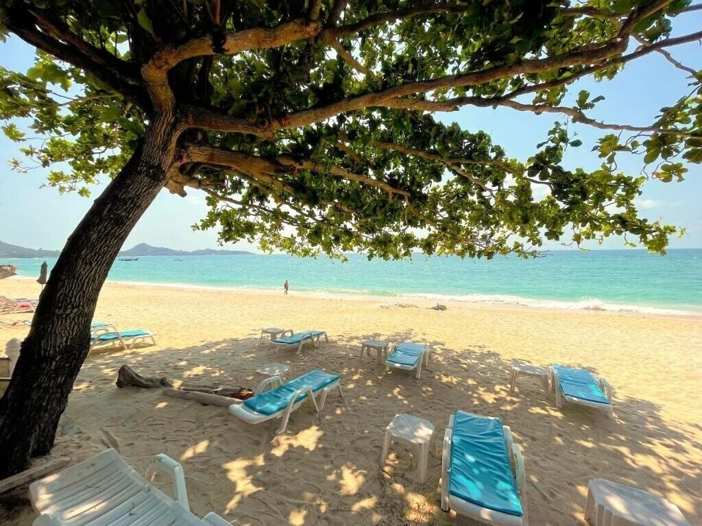 Отель Samui Sense Beach Resort (ex. Samui Sense Beach) 3*