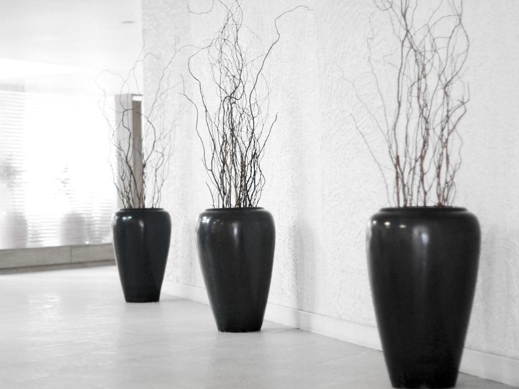 Tropicana Pattaya 3* суреті