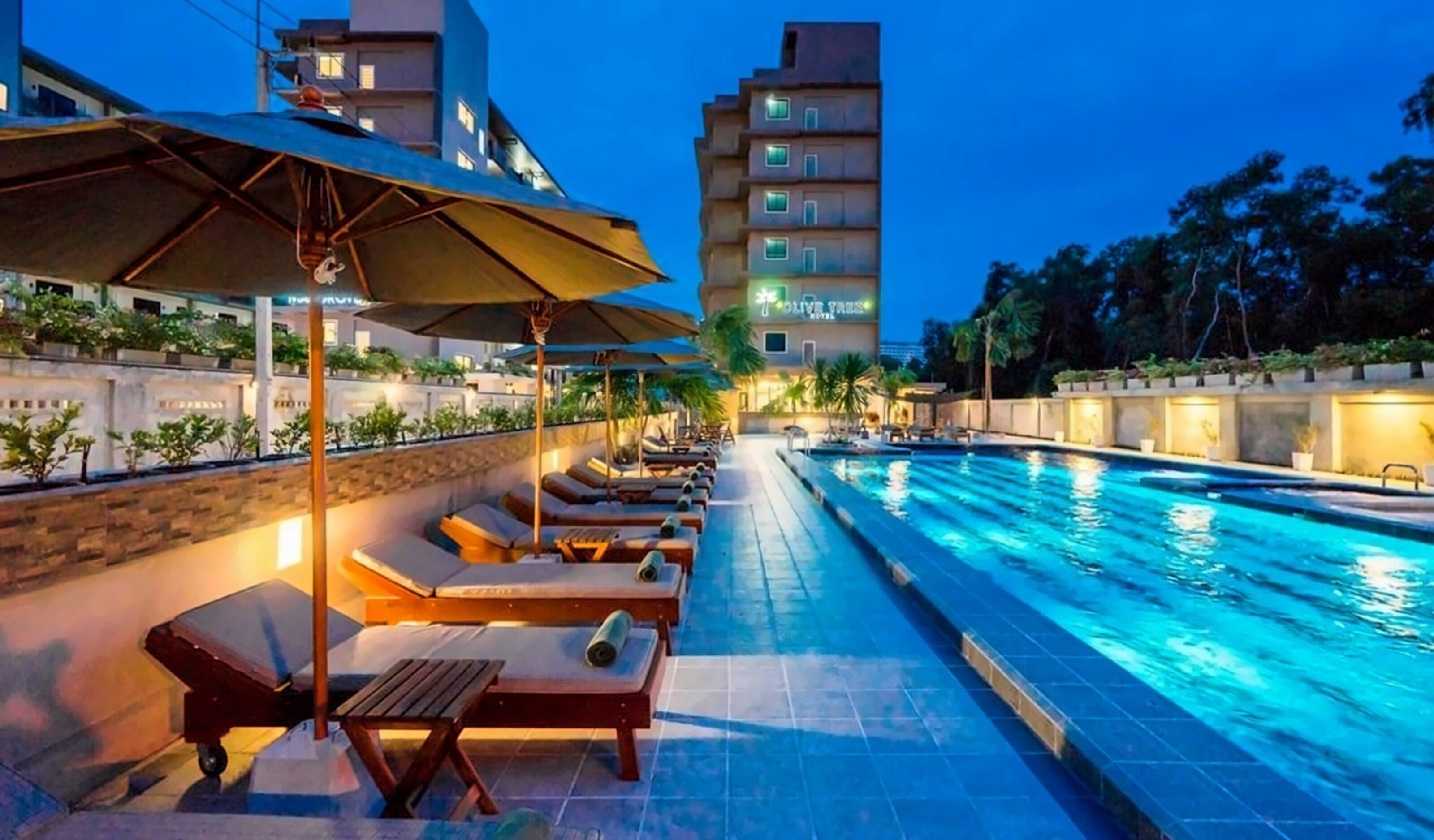 Фотография Olive Tree Hotel 3*