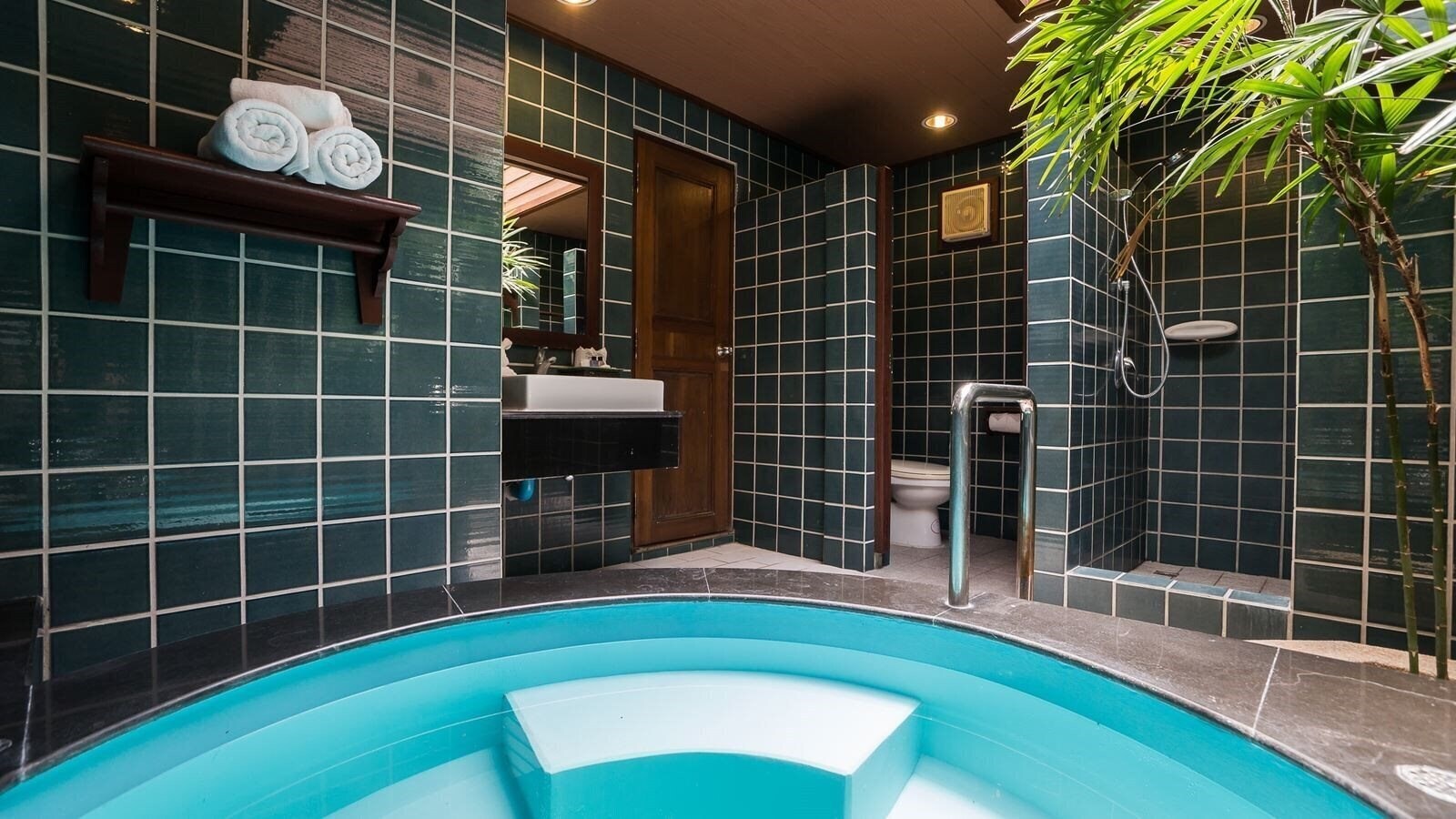 Plumeria Resort 4* суреті