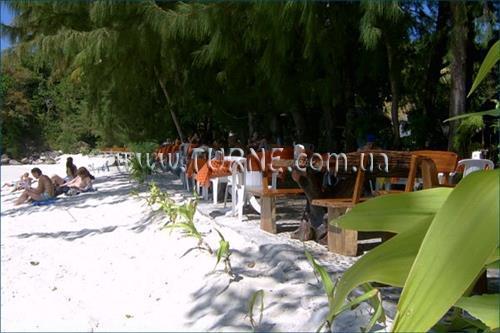 Paradise Pearl Bungalow 3* суреті