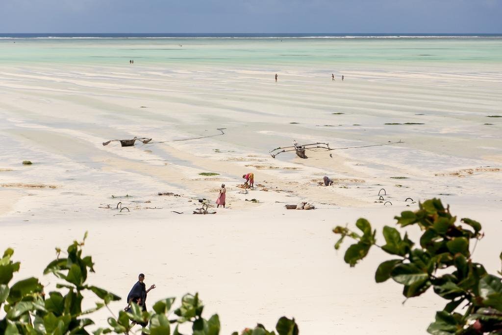 Фотография Mr. Kahawa Lofts (ex. Mr. Kahawa Lofts) 4*