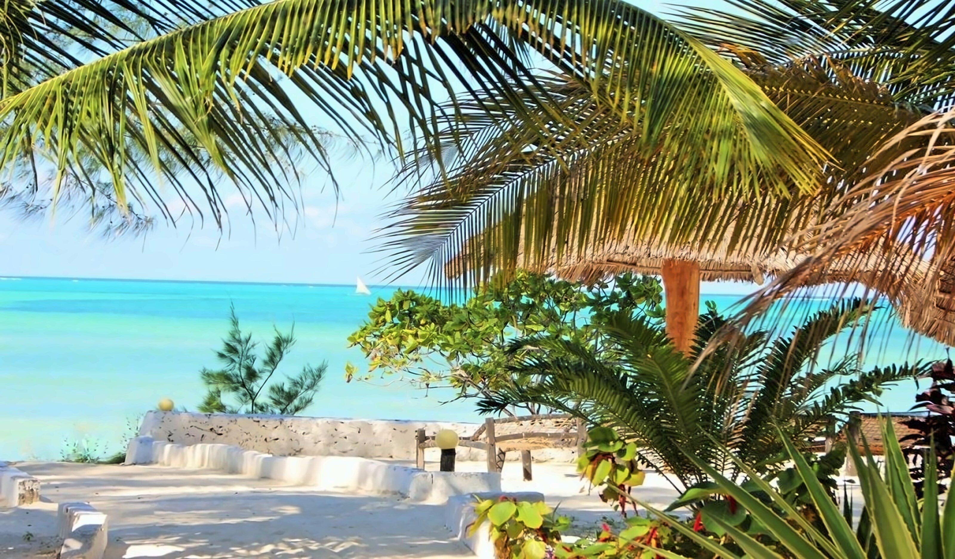 Panorama Beach Ocean View 4* суреті