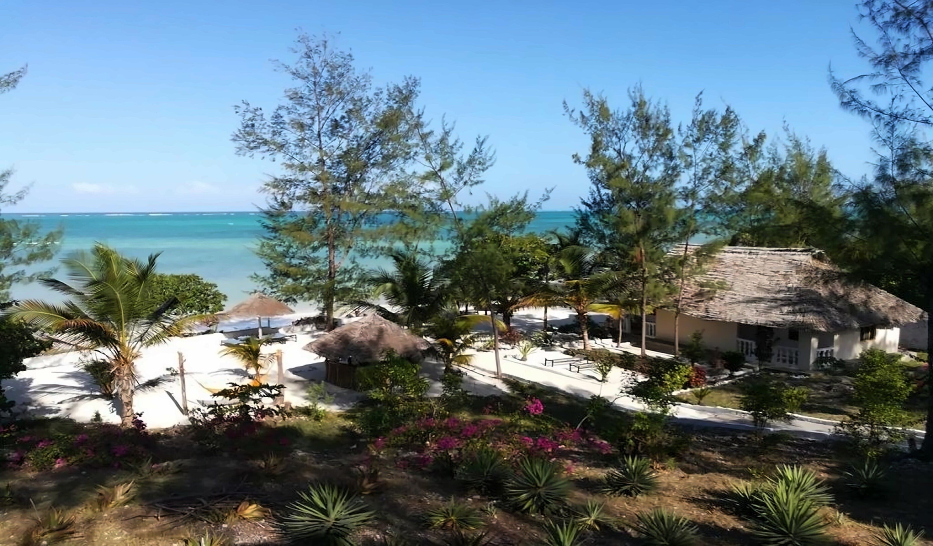 Panorama Beach Ocean View 4* суреті