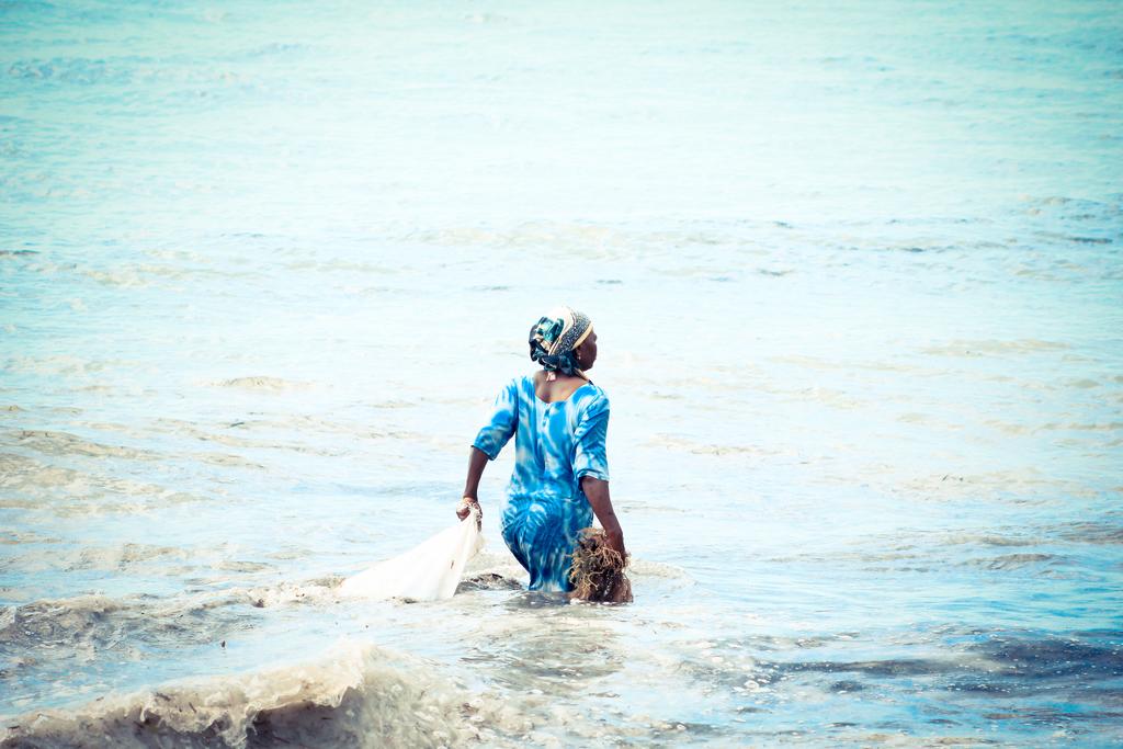 Palumboreef Beach Resort 3* суреті