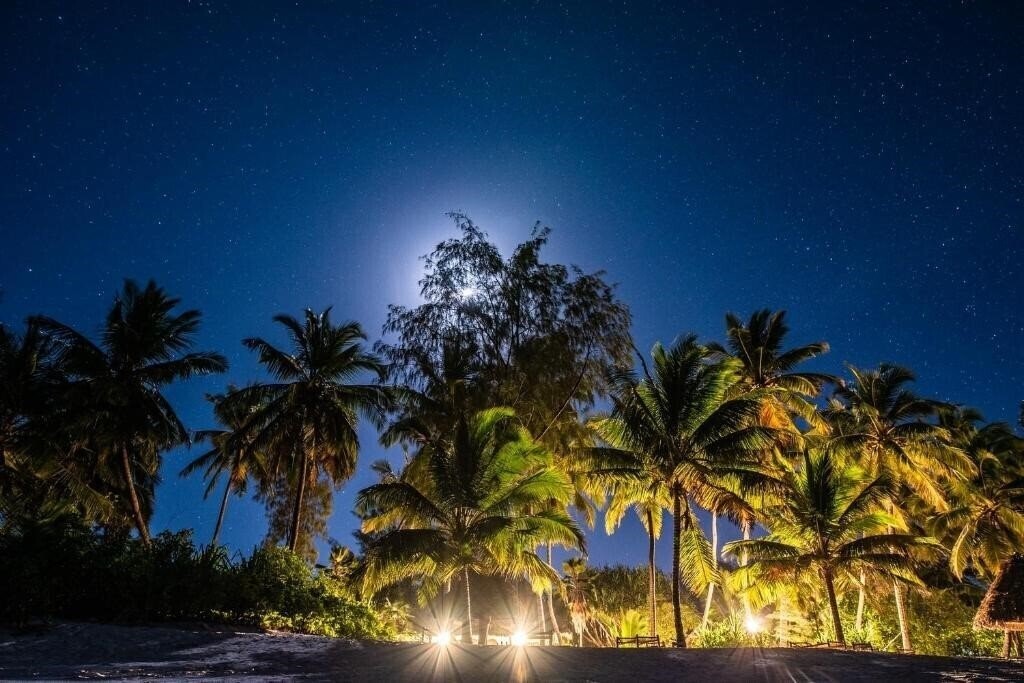 Pongwe Beach 3* суреті