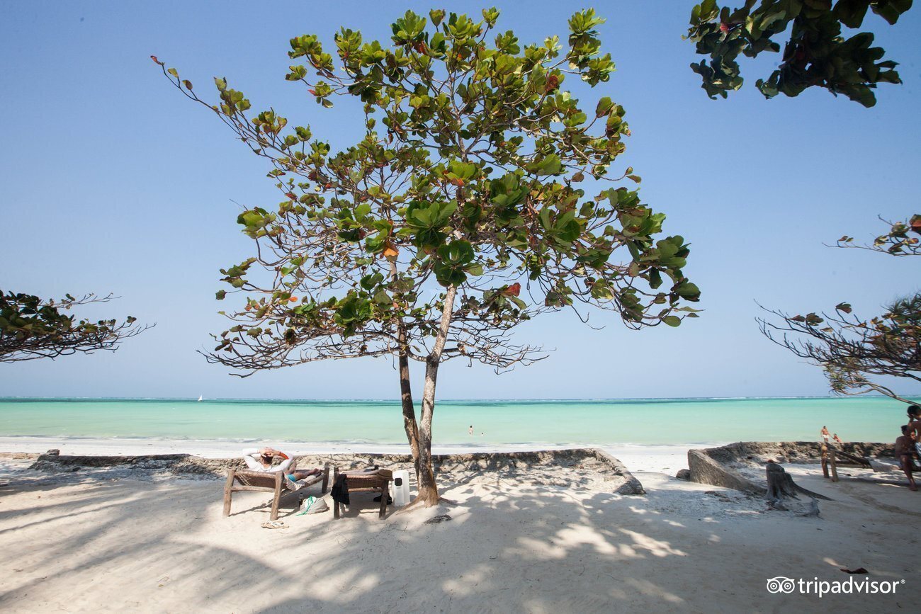 Diamonds Mapenzi Beach Zanibar 4* суреті