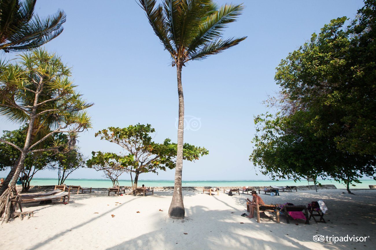 Diamonds Mapenzi Beach Zanibar 4* суреті