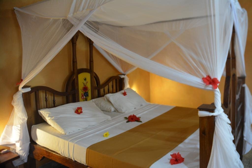 Coral Reef Resort 3* фотосуреті