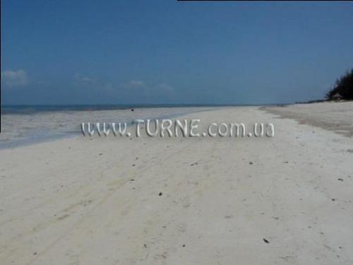 Bahari View Lodge 2* суреті