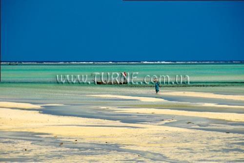 Bahari View Lodge 2* суреті