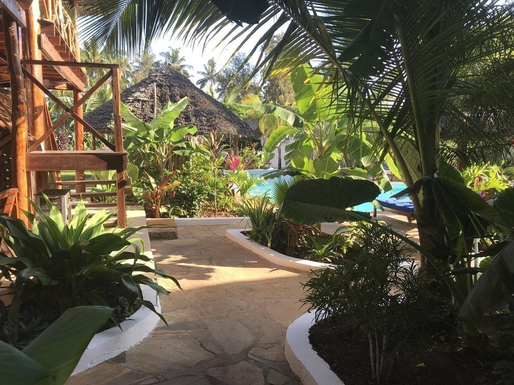 Aluna Beach Lodge 3* суреті